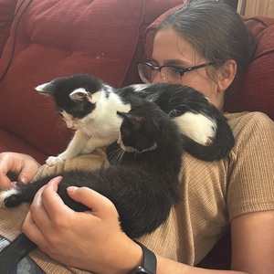 Fundraising Page: Eryn Hornberger